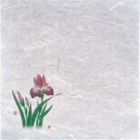 ���������@�s�j�f�@���}�R�[�@�V�E�G��򏑎��i�P�O�O�����j�@�Ҋ��@�p�g�t�P�S�@�P��