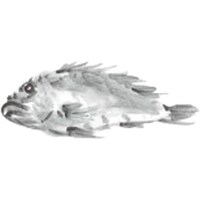 ���������@�s�j�f�@�J�~�C�\�@�ڂR�@�e�[�u���}�b�g�i�P�O�O�����j�@�߂΂�@�m���D�P�O�S�@�p�s�b�S�X�@�P��