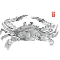 ���������@�s�j�f�@�J�~�C�\�@�ڂR�@�e�[�u���}�b�g�i�P�O�O�����j�@���Ɂ@�m���D�P�O�Q�@�p�s�b�S�V�@�P��