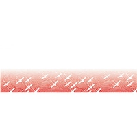 ���������@�s�j�f�@�A�[�e�b�N�@���Ă��Ƃ܂��Ɖ؂����݁i�P�O�O�����j�@�߁@�n�s�j�P�O�@�p�n�s�R�R�O�P�@�P��