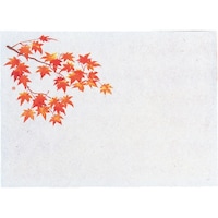 遠藤商事 TKG ヤマコー 遠赤保鮮紙 小 (100枚入) 紅葉 QHS06 1個