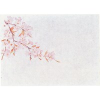 ���������@�s�j�f�@���}�R�[�@���ԕۑN���@���@�i�P�O�O�����j�@���@�p�g�r�O�Q�@�P��