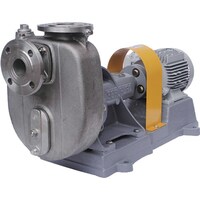 ���c�@�s�d�q�`�c�`�@�Z���v���|���v�@�X�e�����X���O�����h�p�b�L�����@���O���[�g���t�@���[�^�[�t�@�b�n�g�R�d�T�O�g�y�v�l�@�P��