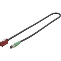 �C�}�I�@�r�h�j�n�@���C�Z���T�[�@�r�m�c�d�o�l�r�P�O�O�O�@�P��