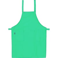 自重堂 自重堂 エプロンタコイズ F 43609049F 1着