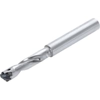 �^���K���C�@�^���K���C�@�w�b�h�������h�����@�h�����E�}�C�X�^�[�@�s�h�c�q�i�k�^�c���R�D�T�j�@�s�h�c�P�P�T�q�P�Q�R�D�T�@�P��