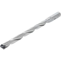 �^���K���C�@�^���K���C�@�w�b�h�������h�����@�h�����E�}�C�X�^�[�@�s�h�c�q�i�k�^�c���P�Q�j�@�s�h�c�P�O�T�q�P�U�P�Q�@�P��