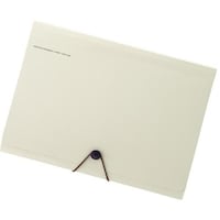 リヒトラブ LIHIT キャリングドキュメント ベージュ A4 A758916 1冊