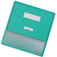 リヒトラブ LIHIT カラーカードインデックス (11枚) グリーン A3 HC113C3 1冊