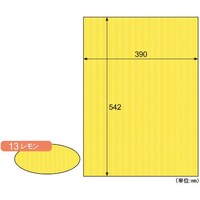 ヒサゴ HISAGO リップルボード/レモン RB13 1Pk(3枚)