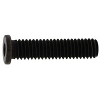 サンコー SUNCO ステンレス 小頭NSローヘッド 8×12 (200本入) A002L3500080012000 1箱(200本)