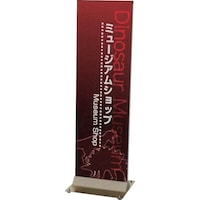 �R��Y�Ɓ@�R���h���@�r�T�C���@�e�S�T�P�T�@�r�@�x�n�R�S�k�`�k�@�P��