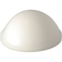 �^�J�`�d�@�H�Ɓ@�^�J�`�@�ی^�n���t�S�����@�s�a�P�Q�v�@�P�܁i�P�O�j