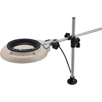 �I�[�c�J���w�@�I�[�c�J�@�k�d�c�Ɩ��g�勾�@�r�j�j�k�c�^�@�Q�{�@�r�j�j�k�c�Q�w�@�P��