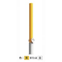 �J�l�\�E�@�J�l�\�E�@�Ԏ~�߁@�X�`�[�����@�ĕt�h���@�E�����@�X�`�[�����W�@���t�@�d�V���[�Y�@�d�b�P�O�W�T�m�c�k�x�@�P�{