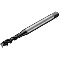 サンドビック SANDVIK コロタップ300 スパイラルタップ(780) P1PM T300PM100AE14 1本