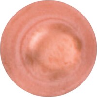 AGas Japan FUSO 銅キャップ 1/4F FS401K1 1台