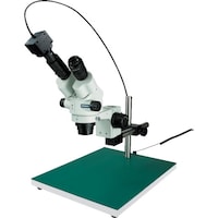 �z�[�U���@�g�n�y�`�m�@���̌������i�o�b�p�j�@�k�j�h�s�V�W�X�@�P��