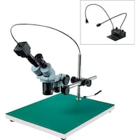 �z�[�U���@�g�n�y�`�m�@���̌������i�o�b�p�j�@�k�j�h�s�V�V�V�@�P��