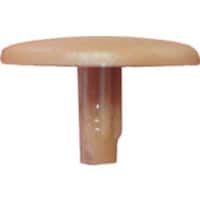 �_���h���r�X�@�_���h���r�X�@�_���h���@�L���b�v�o��p�o�T�U�@�u���E���@�@�`�������@�b�o�b�w�O�T�U�`�w�@�P���i�P�O�O�j