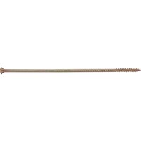 �_���h���r�X�@�_���h���r�X�@���ɑ��g�o�Q�S�O�@�l�p���@�N�����[�g�@�����@�u�g�o�w�Q�S�O�j�w�@�P���i�Q�T�{�j