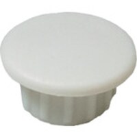 �_���h���r�X�@�_���h���r�X�@���L���b�v�i�W�����j���C�g�A�C�{���[�`�W�P�R�@�@�`�������@�b�`�b�O�W�P�R�`�w�@�P���i�P�O�O�j