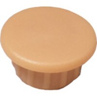 �_���h���r�X�@�_���h���r�X�@���L���b�v�i�W�����j�N���[���`�W�S�@�@�@�b�������@�b�`�b�O�W�O�S�b�w�@�P���i�T�O�O�j