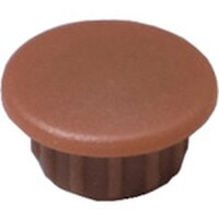 �_���h���r�X�@�_���h���r�X�@���L���b�v�i�W�����j���J�`�W�P�W�@�b�������@�b�`�b�O�W�P�W�b�w�@�P���i�T�O�O�j