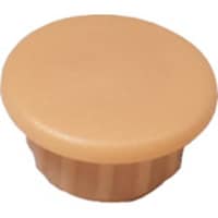 �_���h���r�X�@�_���h���r�X�@���L���b�v�i�W�����j�N���[���`�W�S�@�@�@�`�������@�b�`�b�O�W�O�S�`�w�@�P���i�P�O�O�j