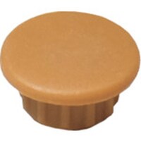 �_���h���r�X�@�_���h���r�X�@���L���b�v�i�W�����j���C�g�u���E���`�W�V�@�@�@�b�������@�b�`�b�O�W�O�V�b�w�@�P���i�T�O�O�j