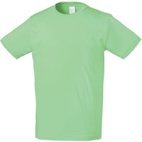 クロダルマ クロダルマ 半袖Tシャツ ライム 4L 006884L 1着