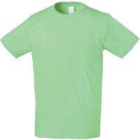 クロダルマ クロダルマ 半袖Tシャツ ライム L 00688L 1着