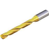 NTKカッティング TAEGUTEC 刃先交換式ドリルホルダー ドリルラッシュ TCD25025932S08D 1本