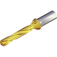 NTKカッティング TAEGUTEC 刃先交換式ドリルホルダー ドリルラッシュ TCD11011416T35D 1本