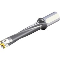 �m�s�j�J�b�e�B���O�@�s�`�d�f�t�s�d�b�@�n��������h�����z���_�[�@���W���[���h�����@�l�c�a�c�S�U�S�V�Q�R�T�T�O�s�Q�b�S�U�T�@�P�{