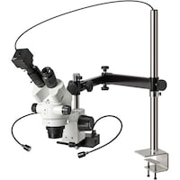 �z�[�U���@�g�n�y�`�m�@���̌������i�o�b�p�j�@�k�j�h�s�P�O�Q�T�@�P��