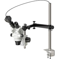 �z�[�U���@�g�n�y�`�m�@���̌������i�o�b�p�j�@�k�j�h�s�P�O�Q�R�@�P��