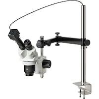 �z�[�U���@�g�n�y�`�m�@���̌������i�o�b�p�j�@�k�j�h�s�P�O�P�S�@�P��