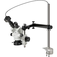 �z�[�U���@�g�n�y�`�m�@���̌������i�o�b�p�j�@�k�j�h�s�P�O�Q�P�@�P��