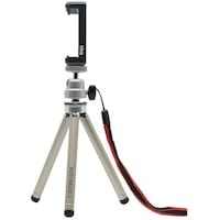 �������@�L���O�@�t�H�g���C�g�X���[�O�r�@�V���o�[�@�j�e�s�R�r�u�@�P�{