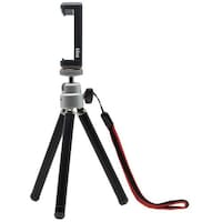 �������@�L���O�@���[�`�X���[�O�r�@�u���b�N�@�j�q�s�R�a�j�@�P�{