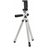 �������@�L���O�@���C���{�[�G�C�g�O�r�@�z���C�g�@�j�q�d�W�v�g�@�P�{