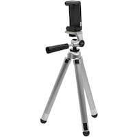 �������@�L���O�@���C���{�[�G�C�g�O�r�@�V���o�[�@�j�q�d�W�r�u�@�P�{