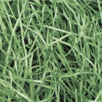 �T�T�K���@�T�T�K���@�p�b�L���@���p�b�L���@�P�����@�O���[���@�R�T�T�W�R�T�@�P��