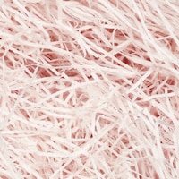 �T�T�K���@�T�T�K���@�p�b�L���@���p�b�L���@�P�����@�T�N���@�R�T�T�W�U�R�@�P��