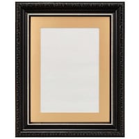 浅沼商会 フジカラー 肖像額縁 2Lゴールド FREAM2LGOLD406577 1枚