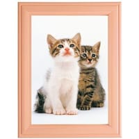 浅沼商会 フジカラー 木製フォトスタンド ピンク MTK2P 1枚