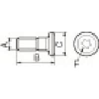 ���Z���@���Z���@���i�@�˂��@�b�o�W�w�P�T�s�k�@�P��