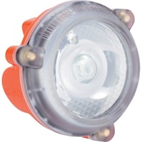 �K�X�e�b�N�@�f�`�r�s�d�b�@�m�[�U�����C�g�|�����X�@�L���b�v�����v�@�`�s�d�w�^�h�d�b�d�����F�@�m�k�`�O�`�P�@�P��