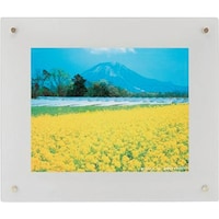 �������@�t�W�J���[�@�v���t���[���@�U�؁@�V���o�[�@�o�q�n�e�q�`�l�d�U�r�@�P��